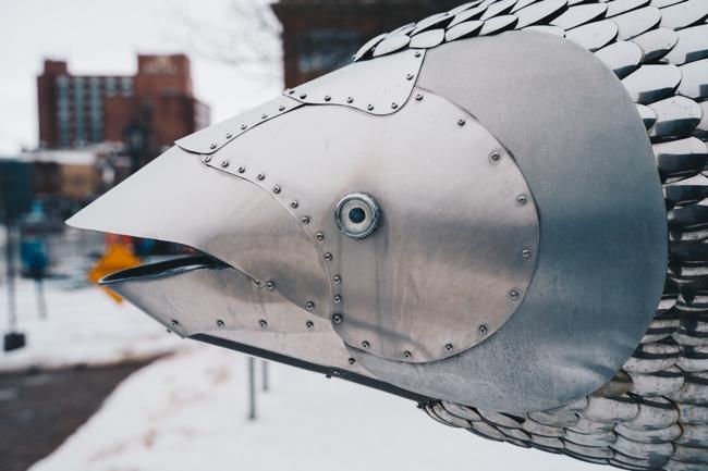Metal sculpture of a Bluefin Tuna Fish